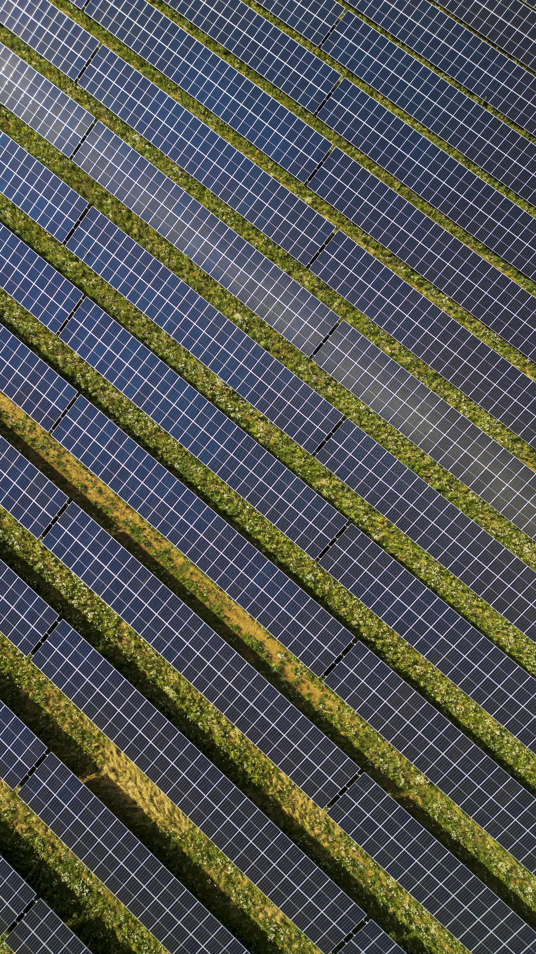 Rows of solar panels seen from above